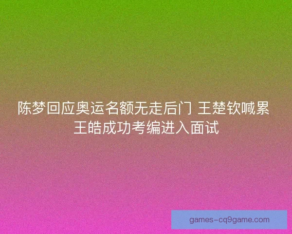 陈梦回应奥运名额无走后门 王楚钦喊累 王皓成功考编进入面试